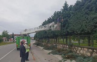 Şehir mezarlığında bakım onarım çalışmaları...