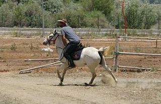 Selçuklu ve Osmanlı konulu diziler biniciliğe ilgiyi...