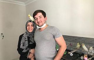 Sevgileriyle birlikte papağanları da arttı