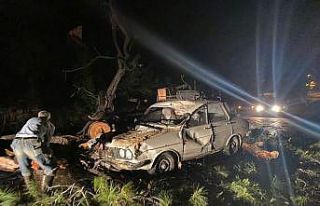 Seyir halindeki otomobilin üzerine ağaç devrildi:...