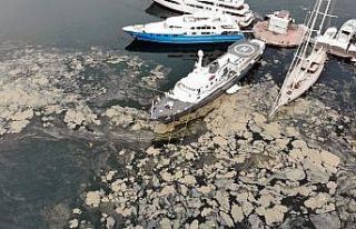 Sıcaklar ile müsilaj tehlikesi büyüyecek