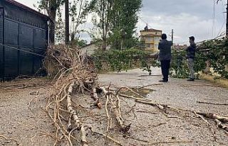 Şiddetli rüzgar ağacı devirdi, elektrik ve iletişim...