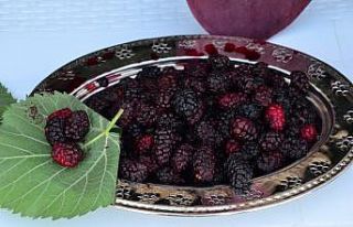 Şifa kaynağı Horum dutu pekmezi gramla satılıyor