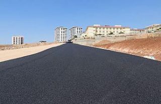 Siirt Belediyesi asfalt çalışmalarını sürdürüyor
