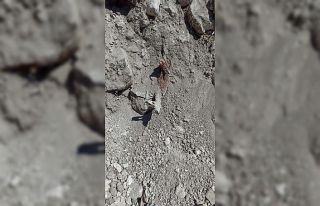 Siirt’te belediye ekiplerince enkaz çalışması...
