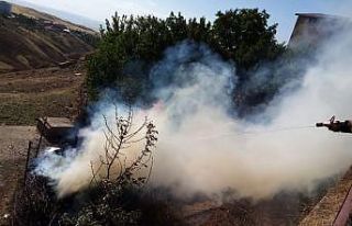 Siirt’te odunlukta çıkan korkuttu