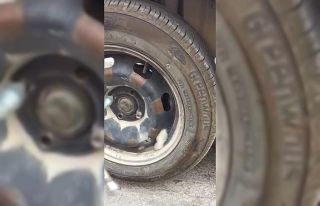 Sıkışan yavru kedi, tekerlek sökülerek kurtarıldı