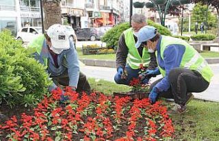 Sinop 40 bin çiçekle güzelleşiyor