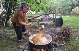 Sinop’ta pekmez sezonu açıldı
