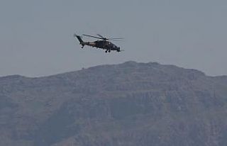 Şırnak Cudi Dağında 1 terörist etkisiz hale getirildi