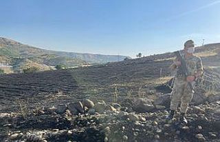 Siverek’te orman yangını