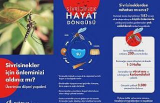 Sivrisineklere karşı 3K yöntemi