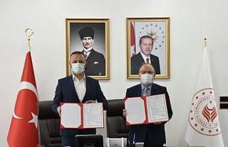 Sokak hayvanları rehabilitasyon merkezi belediyeye...