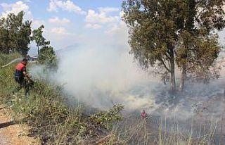 Söndürülmeden atılan izmarit, Aydın’ı duman...