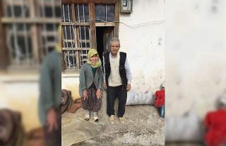 Sulama havuzuna düşen yaşlı kadın hayatını...