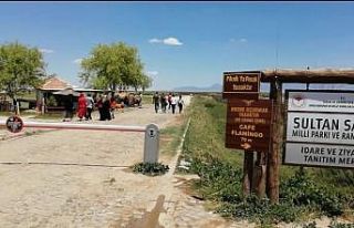Sultan Sazlığı’nda park yeri sorunu çözüm...