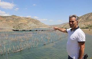 Suyu çekilen barajda ilginç görüntüler oluştu