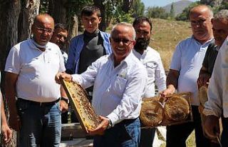 TAB Genel Başkanı Şahin: "Arıların sigortasını...