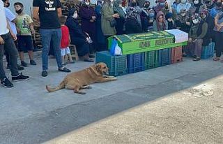 Tabutun başından bir an olsun ayrılmadı