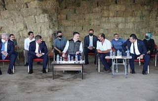 Tarım ve Orman Bakanı Pakdemirli’den yem fiyatlarına...