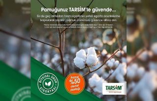 TARSİM: "Pamuk ürününüz güvende"