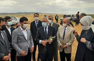 TARSİM’den Şereflikoçhisar’a ziyaret