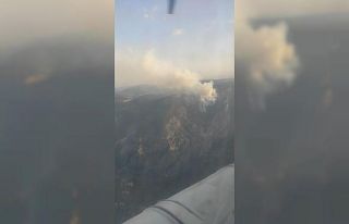 Tarsus’taki orman yangınında soğutma çalışması...