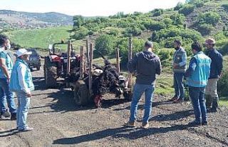 Tavşanlı’da yıldırım düşmesi sonucu 21 küçükbaş...