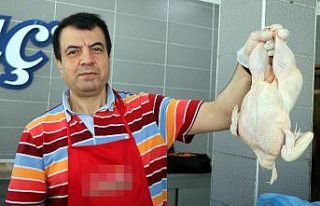 Tavuğun önlenemez yükselişi