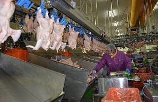 Tavuk devi 2021’de 160 milyon TL’lik yatırım...