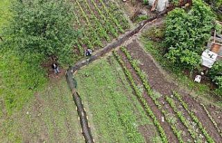 Tavuklara tünelle transit geçiş
