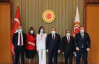 TBMM Başkanı Şentop, AKPM Ukrayna Delegasyonu Başkanı...