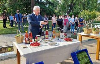 Tekirdağ’da coğrafi tescilli Yapıncak Yaprağı...