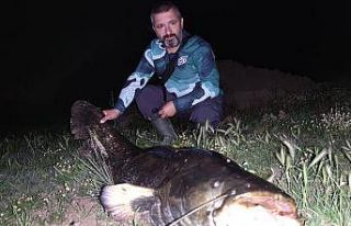 Tekirdağ’da dev yayın balığı yakalandı