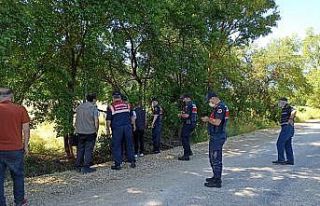 Tellere takılan ayı uyutularak kurtarıldı