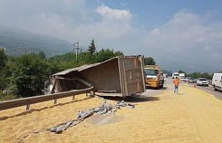 TEM Otoyolunda soya fasulyesi yüklü tır devrildi