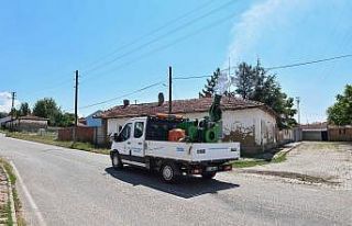 Tepebaşı’nda ilaçlama çalışmaları