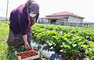 Tepebaşı’nda kadınlar emeğinin karşılığını...