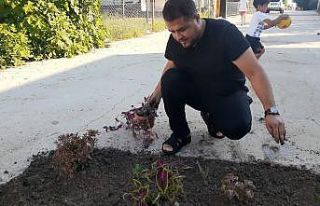 Tepki için yapılmayan yola çiçek dikti