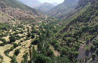 Terör bitti köylere geri dönüşler hızlandı
