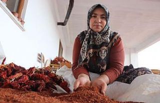 Tescilli biberde fidanlar toprakla buluştu