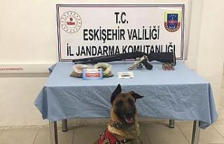 Tetik ve Alfa’dan uyuşturucu kaçmıyor