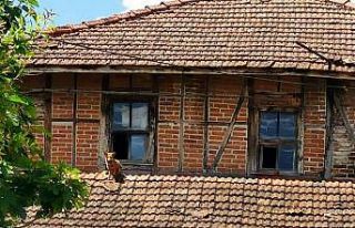 Tilki mahalledeki boş evi mesken tuttu
