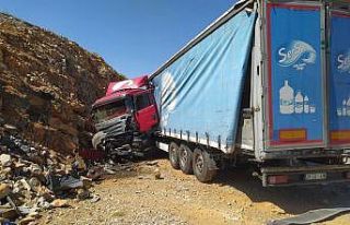 Tır şarampole uçtu, sürücü yaralandı