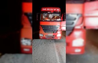 Tırın çarptığı çocuk hayatını kaybetti