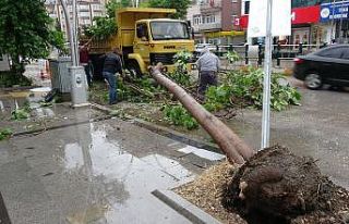 Tokat’ta şiddetli rüzgar çatıları uçurdu,...