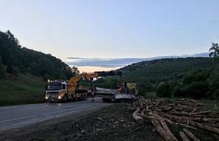 Tomruk yüklü tır devrildi, sürücü yaralandı