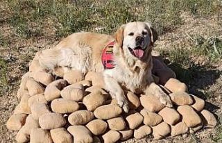 Toprağa gömülü 233,5 kilo eroin ele geçirildi