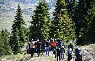 Toroslarda doğa yürüyüşü