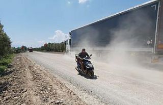 Toz zeytinleri mahvediyor